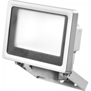 Прожектор "PROFI" PROLight светодиодный, серый, 800 Лм, 10 Вт, STAYER, 57130-10